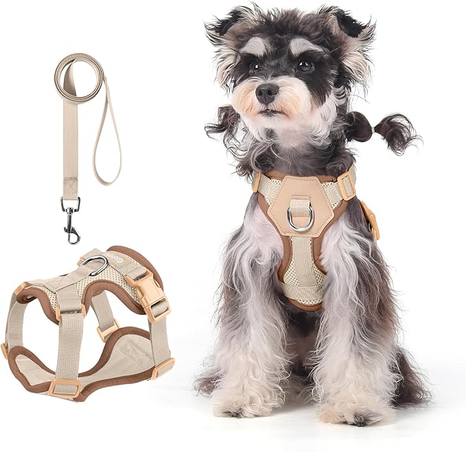 Small Dog Harness and Leash Set, Breathable Mesh Puppy Harness, Adjustable Dog Harness for Small Medium Large Dogs, No-Pull Pet Harness for Daily Walking (Faint Yellow, Medium)