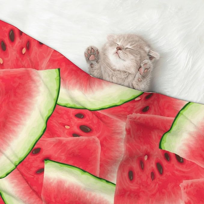 Pet Blanket for Car Rides Vet Visits, Watermelon Fruit Summer Art, Two Sided Reversible Plush Design with Bumpy Dot Side Offers Comfort Home Piece On Go Travel