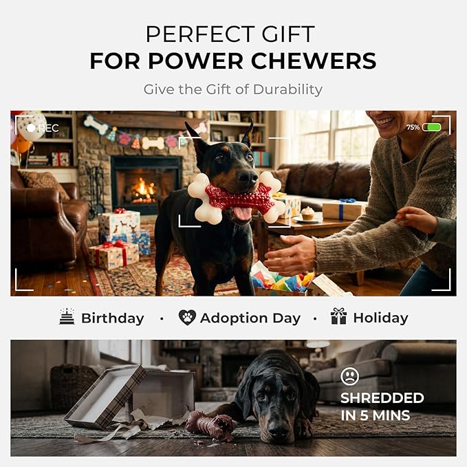 Indestructible Dog Toys for Aggressive Chewers: Beef Flavored Hard Nylon Bone Chew Toys, Tough Dog Chew Toys for Large Dogs, Dog Toys to Keep Them Busy for Medium Large Breed (20-80 lbs), Red