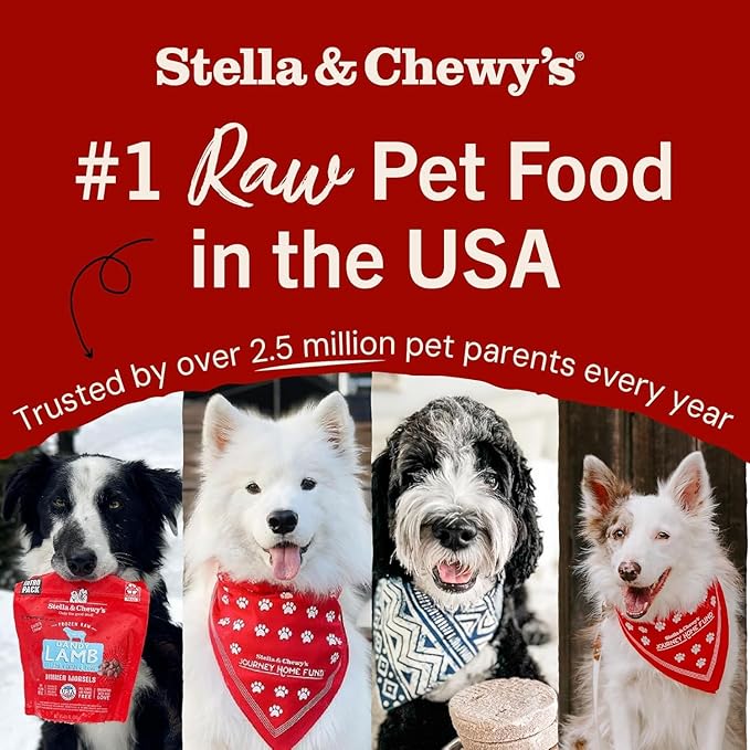Stella & Chewy's Freeze-Dried Raw Beef Meal Mixers- Dog Food Topper and Mixer - Made with 95% Grass-Fed Beef,Organs & Bone - Perfect for Picky Eaters - Grain-Free - 35 oz,(Pack of 2)