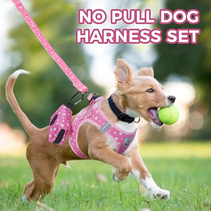 PAWCHIE Dog Harness and Leash Set, Step in No Pull Soft Pet Harness, Reflective Adjustable Puppy Vest for Small Medium Dogs Cats, No Choke Harness Vest with Poop Bag Holder for Walking,Running, Pink S