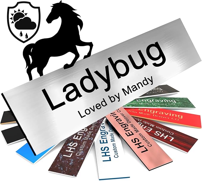 Personalized Horse Stall Name Plates, 2x12 Horse Stall Signs with Adhesive, All Weather UV Protected, Black Brushed Steel Plastic Black Letters - Made in USA - M1