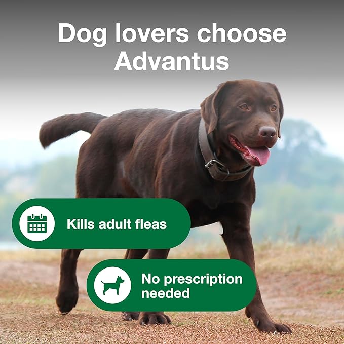Advantus Dogs Fast Acting Oral Flea Treatment Soft Chewable 23 - 110 lbs. | 7 ct.