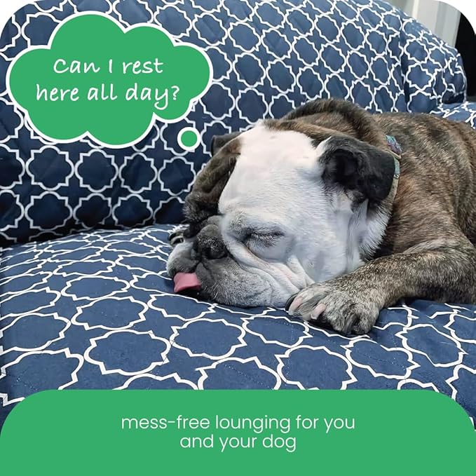 Molly Mutt 3-Seater Non-Slip Furniture Protector and Couch Cover for Dogs & Pets – Durable 100% Cotton Canvas and Non-Toxic Materials - 70” Wide x 78” Long