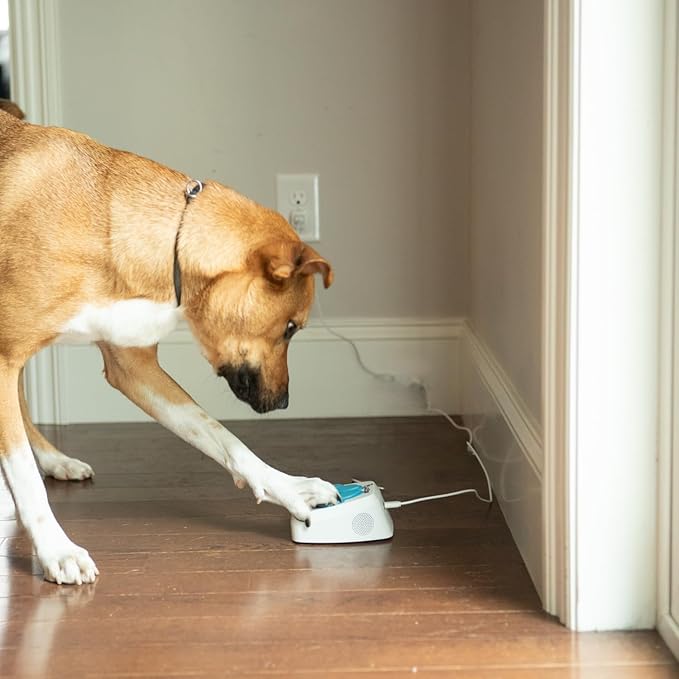 Dog Potty Training Talking Button & Service Dog Medical Alert System. Instant Notifications. 24/7 Live Camera. 2-Way Speaker. iOS & Android Compatible. No Subscription Needed.