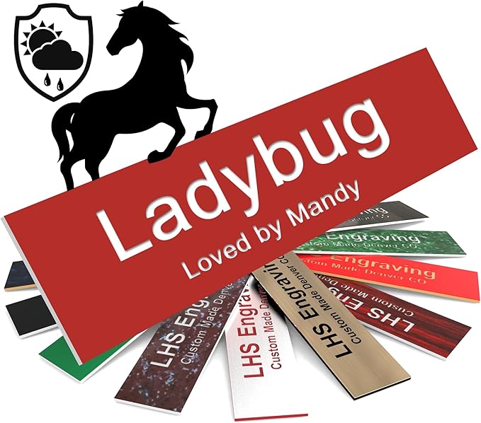 Personalized Horse Stall Name Plates, 2x8 Horse Stall Signs with Adhesive, All Weather UV Protected, Red Plastic White Letters - Made in USA - B7