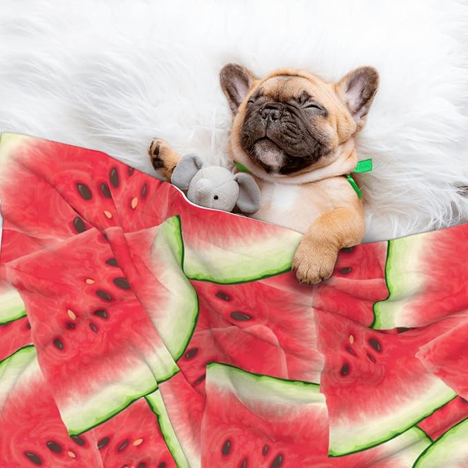 Double Sided Plush Pet Blanket with Cozy Dot Texture and Smooth Reverse, Watermelon Fruit Summer Art, Reversible Throw for Dogs Cats on Couches Beds Crates