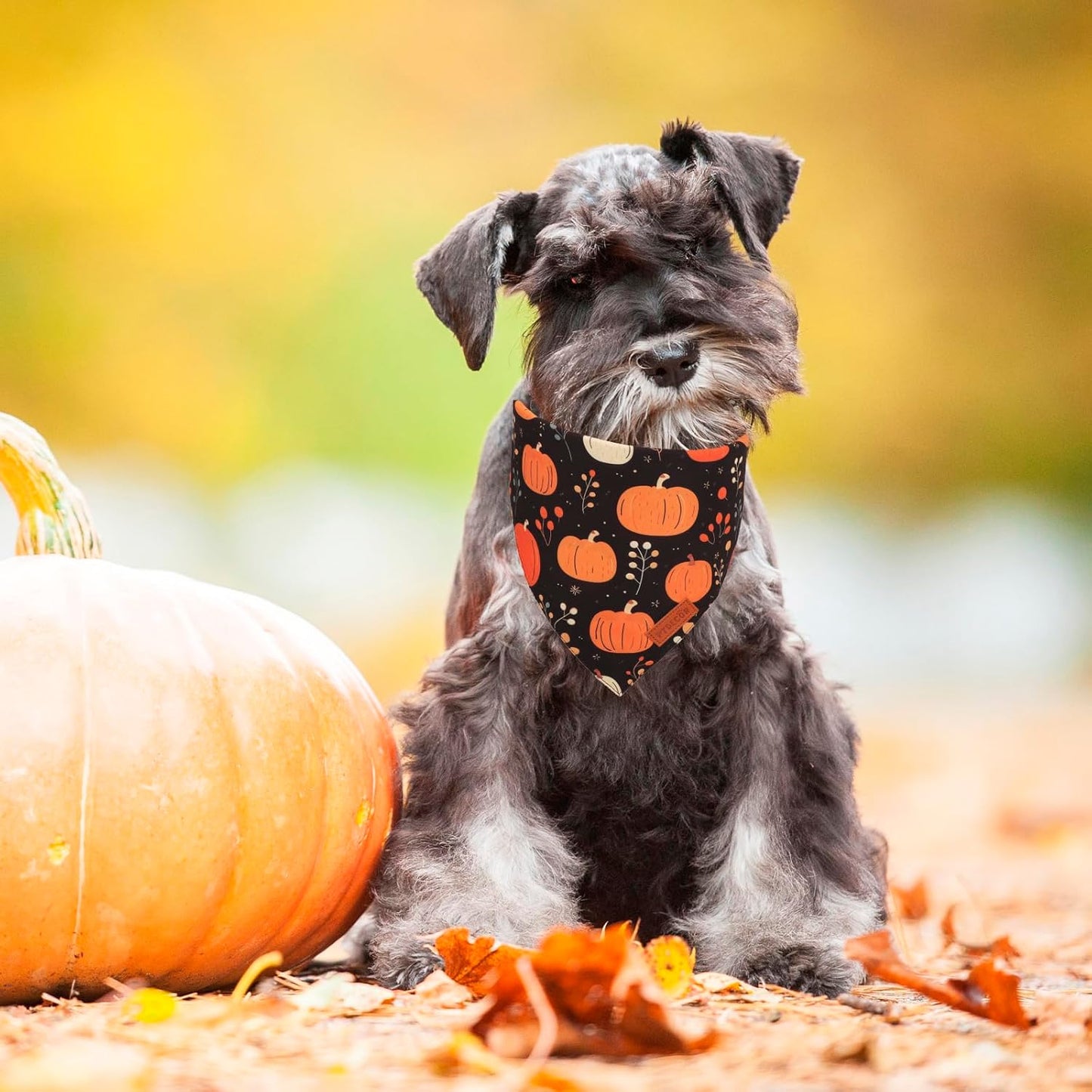 PTDECOR Fall Dog Bandana, Pumpkin Mushroom Design Scarf Reversible Holiday Dog Scarf, Triangle Thanksgiving Bandanas for Small Dogs Puppies Cats (Small)
