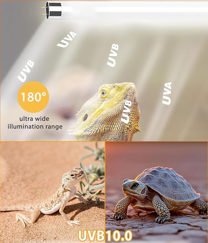 3 Pack T5 10.0 UVB Reptile Light Bulb 8W 12 Inch, UVA UVB Lamp for Bearded Dragons, Chameleons, Turtles, Tortoises, Lizards - Desert & Tropical Reptiles