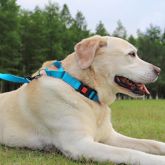 Joytale Martingale Collar for Dogs, Reflective Heavy Duty for Safety, Quick Release Buckle, Adjustable Nylon Collars for Large Dogs Walking Training, Sky Blue,L