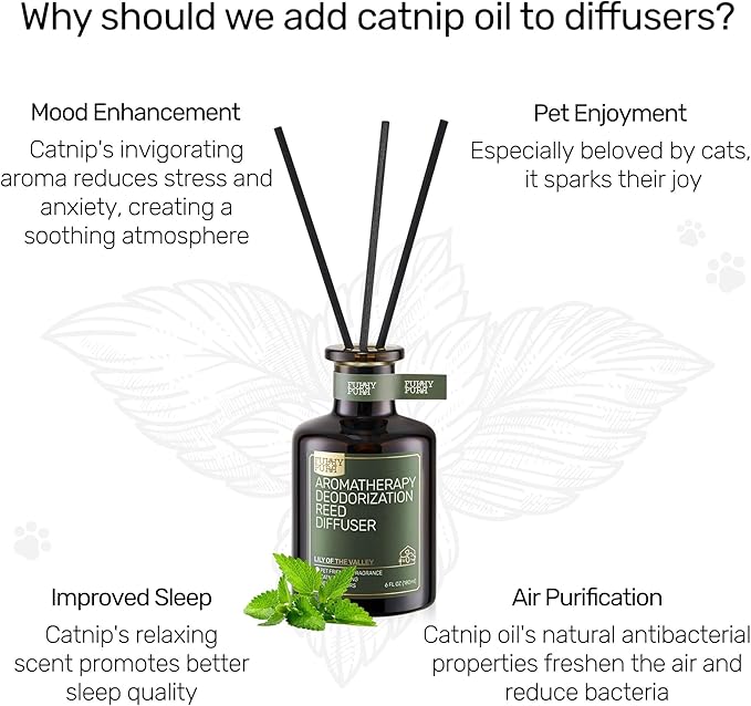 Reed Diffuser for Pet Odor Elimination, White Rose, Non-Toxic & Pet-Friendly Air Freshening, 6 Oz