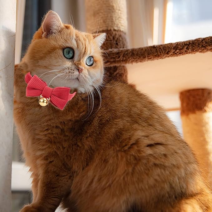 Cotton Breakaway Cat Collar with Bow Tie and Bell, Adjustable Cute Soft Corduroy Kitten Collars for Girl and Boy Cats