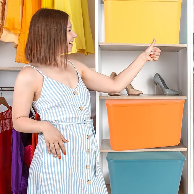 Hoolerry 8 Pieces Colorful Storage Bins