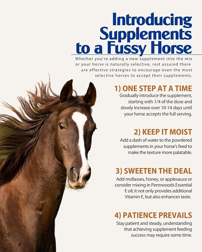 Pennwoods Equine Products Joint + GI Show - 5 LBS | Joint Health | Immune Stimulant | Horse Nutrition Supplement | Appetite Stimulant | Probiotic | Prebiotic | Digestive Enzymes | Toxin Binder