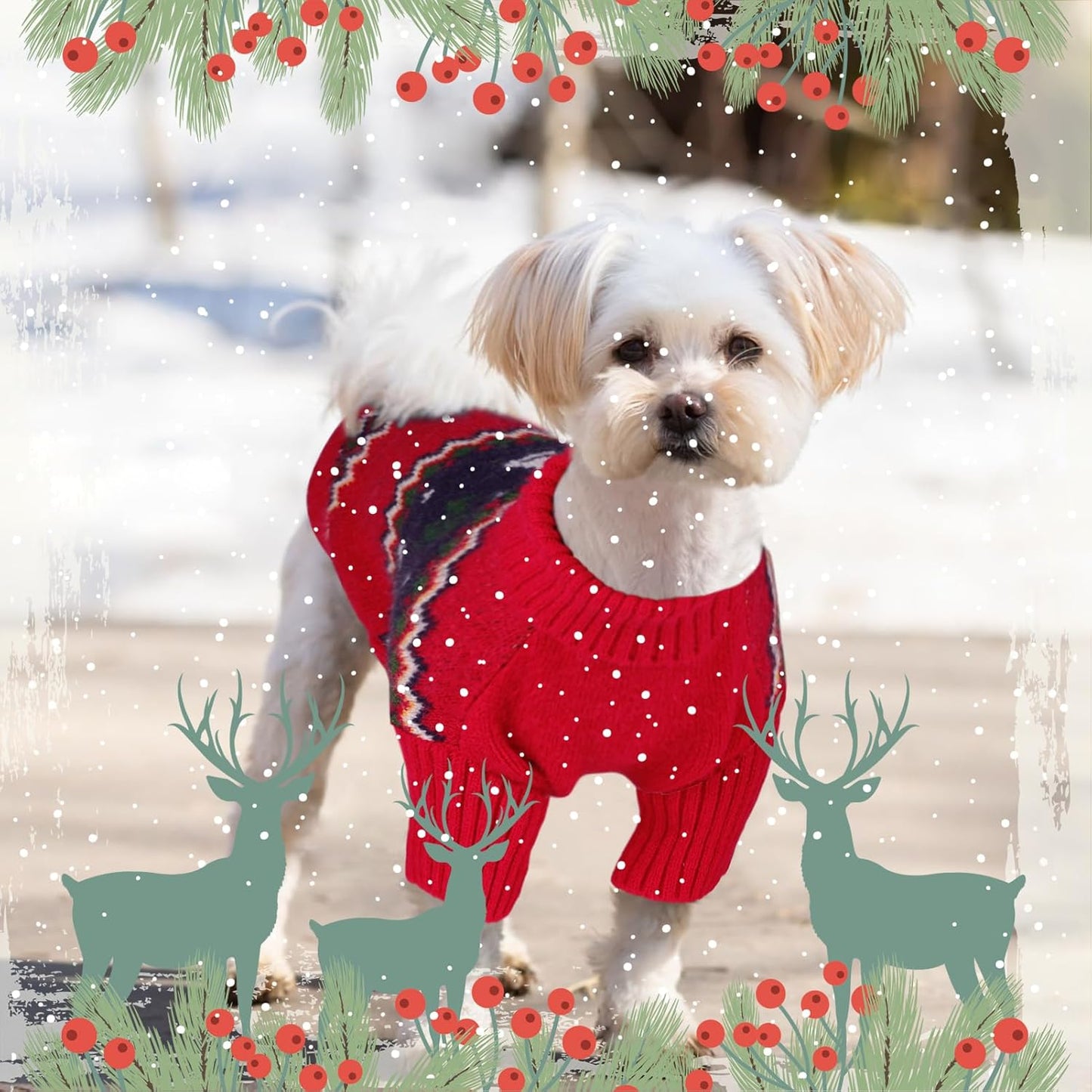 Queenmore Christmas Sweater, Knitted Pullover Turtleneck Outfit for Dogs, Warm Clothes for Small Boys or Girls XS