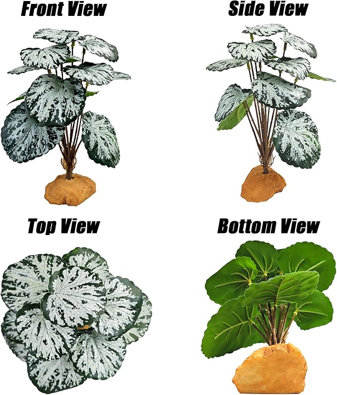 Woyrise Reptile Artificial Plants for Terrarium Decor, Amphibian Habitat Decorations Bearded Dragon Tank Accessories fit Crested Gecko Leopard Lizard Chameleon Snake Frog - Fake Spots Heuchera