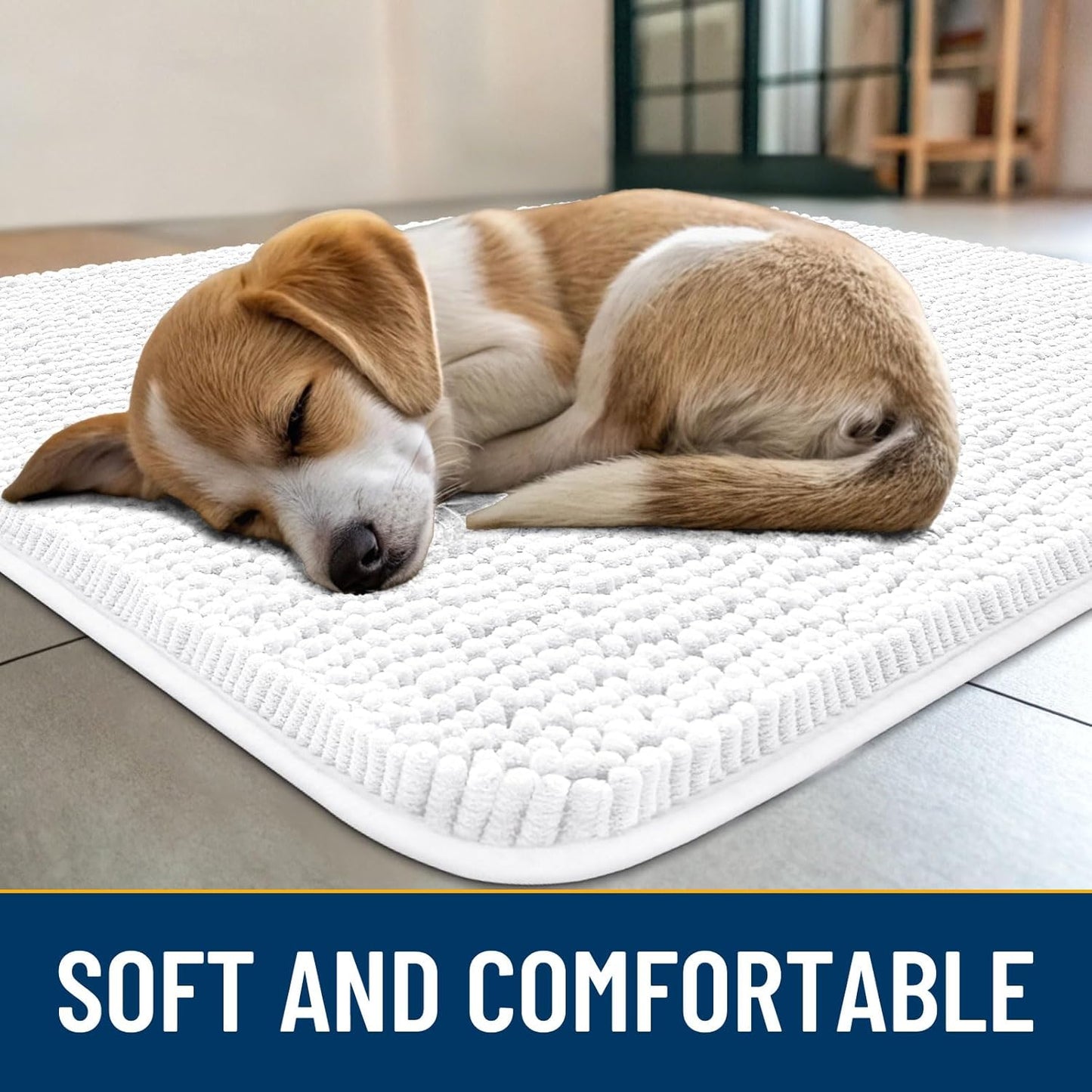 Smiry Dog Door Mat for Muddy Paws 36x24, Absorbs Moisture and Dirt Doormat, Non-Slip Washable Quick Dry Chenille Front Door Mat Indoor Entrance, Entryway Carpet for Inside Floor, White