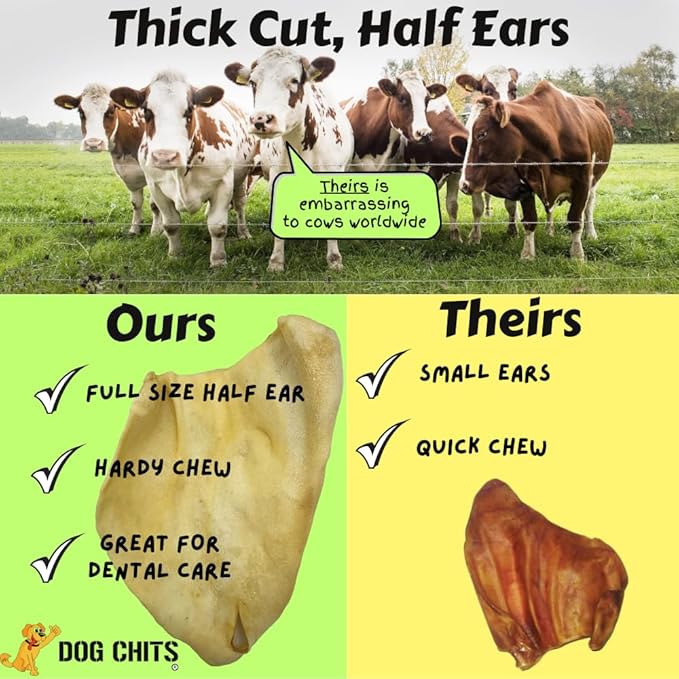 Dog Chits Cow Ears for Dogs – All Natural Cow Ear Dog Treats & Training Chews – High Protein, Low Fat – Thick Cut, Half Ears – Dental Clean Crunch – Ideal for Medium & Large Dogs – Large, 10 Pk