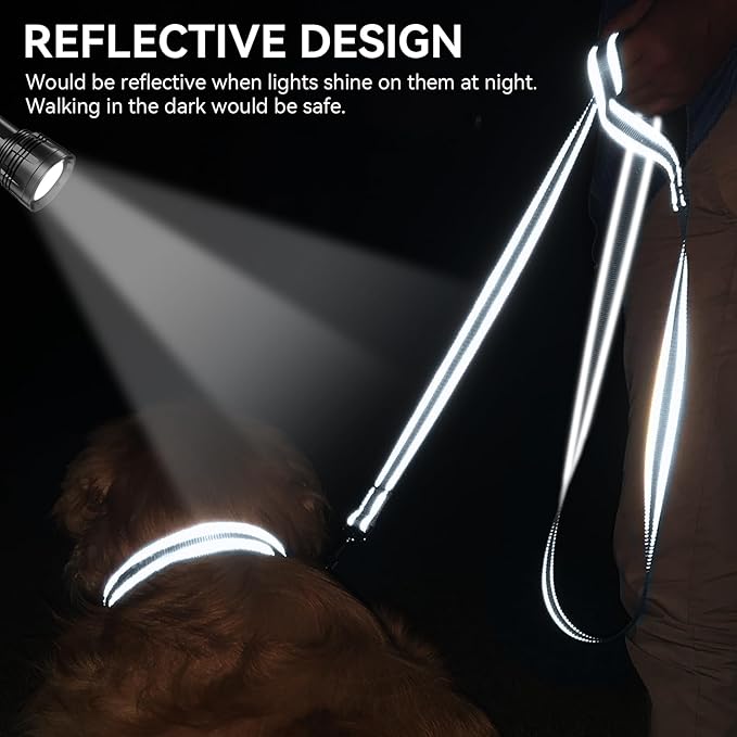 Joytale Dog Leash, 4 FT Double-Sided Reflective, Padded Handle Nylon Heavy Duty Leashes for Medium & Large Dogs Walking, Grey