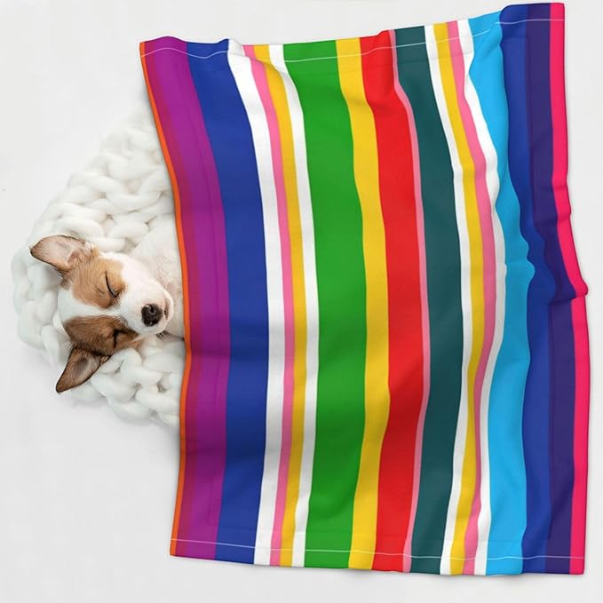 Two Sided Plush Pet Blanket for Crates Carriers Home Use, Novel Colorful Mexican Blanket Stripes, Reversible Throw with Cozy Dot Fabric and Silky Reverse for Small Large Pets