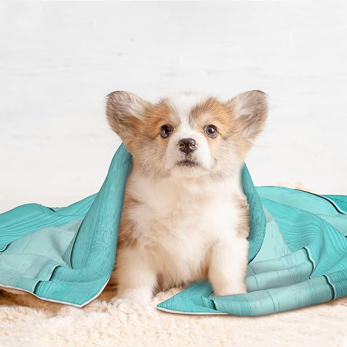 Waterproof Dog Blanket Soft Pet Blanket for Puppy Cat, Fleece Cat Throw Blankets for Furniture Bed Couch Sofa Reversible - Teal Turquoise(1)