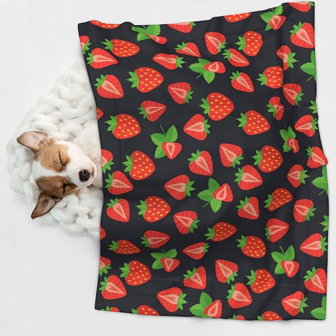 Reversible Dog Blanket for Beds Couches, Cute Red Strawberry Pattern Black, Double Sided Cat Blanket with Textured Dot Feel and Smooth Feel for Seasonal Comfort All Year