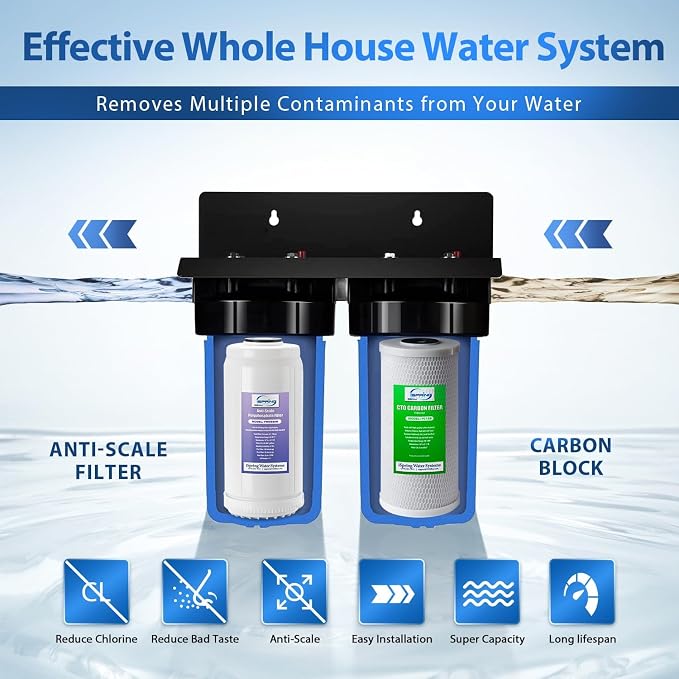 iSpring WGB21B-DS 2-Stage Whole House Water Filtration System,