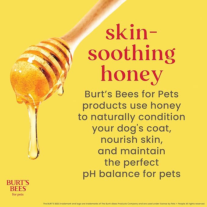 BURT'S BEES FOR PETS Dog Paw and Nose Lotion with Rosemary and Olive Oil, Moisturizing Paw Balm for Dry Cracked Pads and Dog Nose Butter Moisturizer, Paw Lotion for Dogs Skin Care, 4 Fl Oz