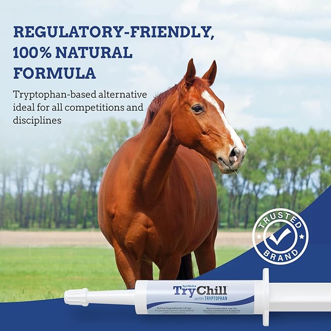 TryChill™ – L-Tryptophan-Based Support for Horses – Promotes a Composed Demeanor Without Sedation – Enhances Focus, Confidence & Performance – 100% Natural & Competition Safe