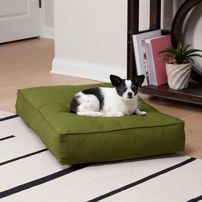 Charlie Rectangle Indoor/Outdoor Pillow Style Dog Bed, Hunter, Small (24" x 36")