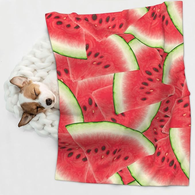 Pet Blanket for Car Rides Vet Visits, Watermelon Fruit Summer Art, Two Sided Reversible Plush Design with Bumpy Dot Side Offers Comfort Home Piece On Go Travel