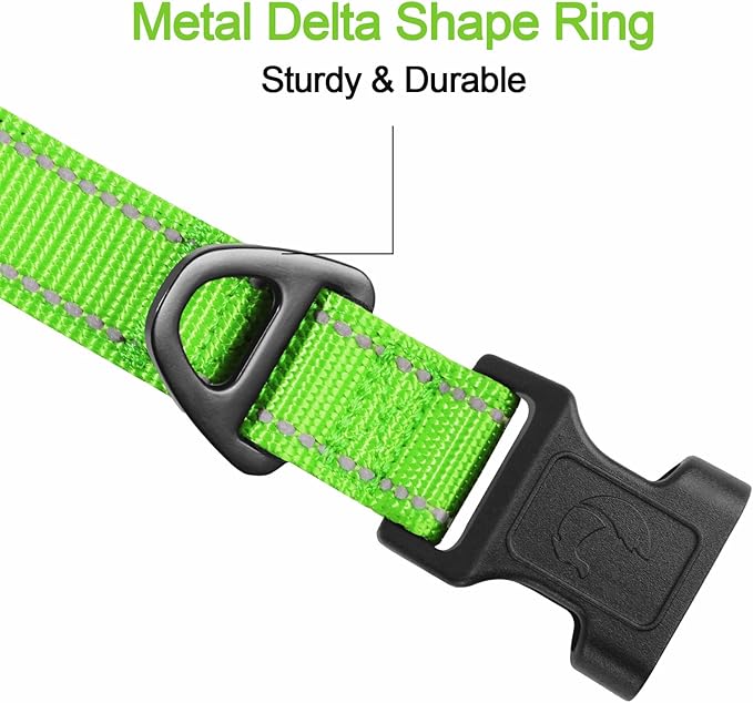 Joytale Reflective Dog Collar, Soft Neoprene Padded, Metal D-Ring, Nylon Pet Collar Adjustable for Small Dogs, Green, S