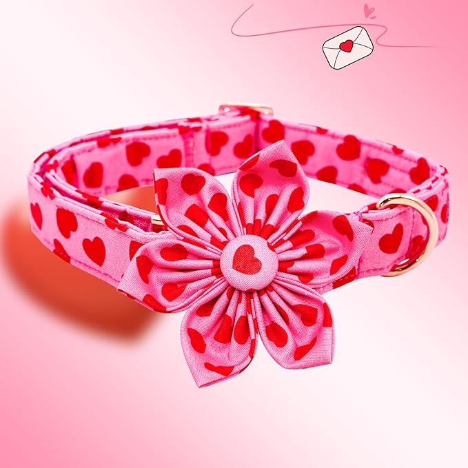 Lionheart glory Valentine's Day Dog Collar with Flower Dog Collar for Medium Dogs, Soft Adjustable Hearts Dogs Collars Spring Pet Collars Flower Puppy