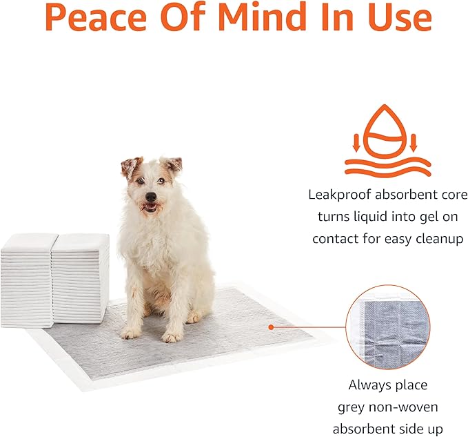 Amazon Basics Carbon Odor Control Dog and Puppy Pee Pads, 5-Layer Leak-Proof Super Absorbent, Quick-Dry Surface for Potty Training and Housebreaking, X-Large Size 28"x34", Gray, 50 Count