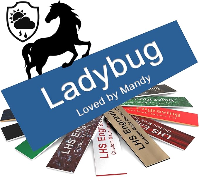 Personalized Horse Stall Name Plates, 2x10 Horse Stall Signs with Adhesive, All Weather UV Protected, Blue Plastic with White Letters - Made in USA - B9