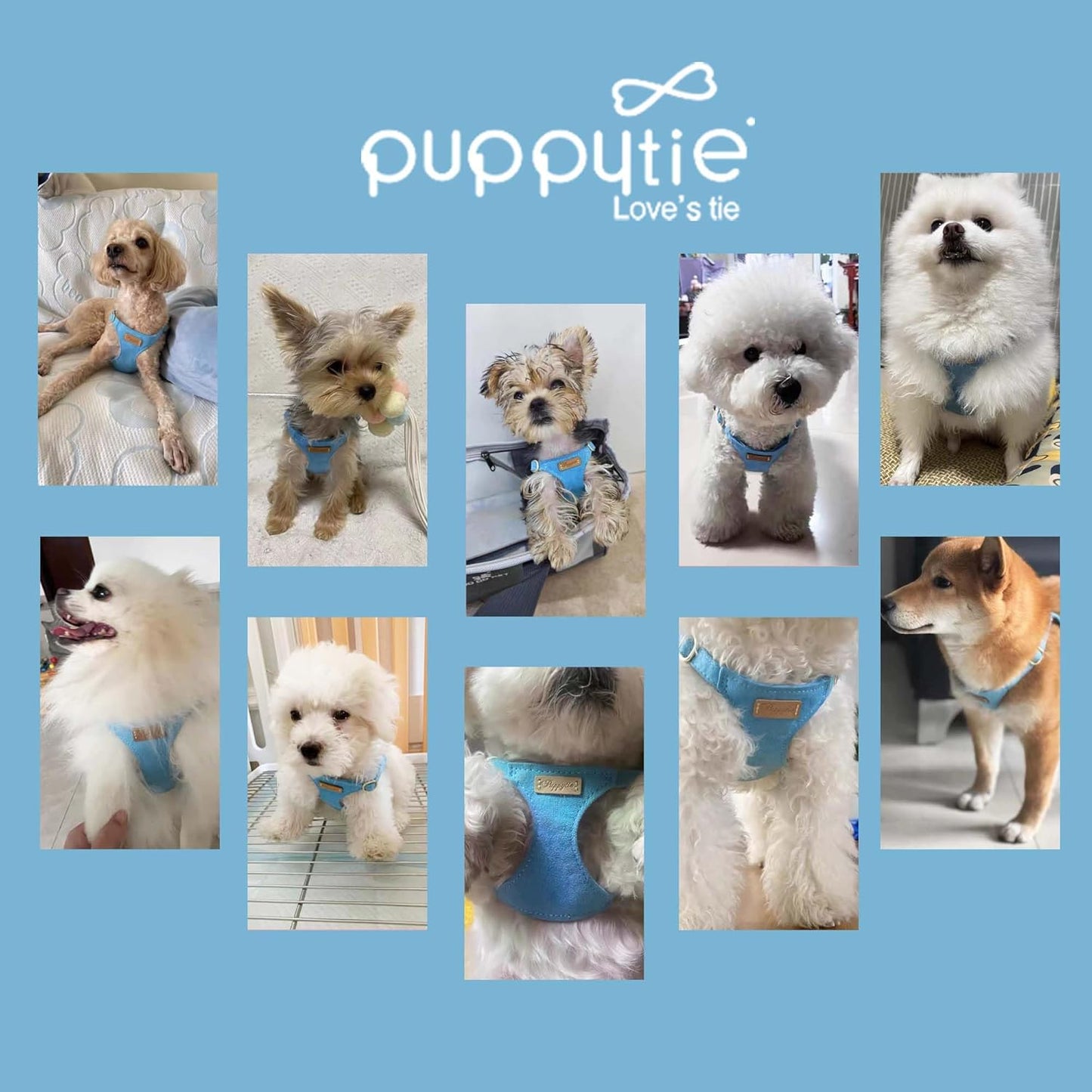 Puppytie Ultra-Light No-Pull XXS Dog Harness – Escape-Proof Adjustable Vest for Small Breeds (2.2-6lbs)