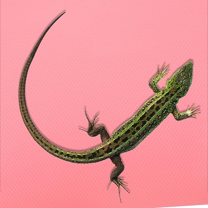 Bearded Dragon Tank Accessories Reptile Carpet EVA Terrarium Liner Bearded Dragon Reptile Substrate Mat Tank Accessories for Leopard Gecko Snake Lizard Tortoise Bearded Dragon Accessories