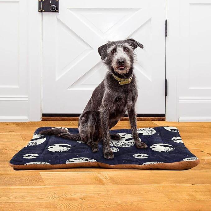 Halloween Bat Moon Pet Bed Cute Dog Bed Mat Absorbing Non Slip Pad Pet Sleeping Mat for Small, Medium, and Large Dogs Puppy Cat 24 in x 18 in