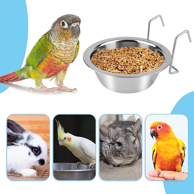 Hypeety Stainless Steel Food Water Cup with Bolt Hooks for Pet Bird Crates Cages Coop Dog Cat Parrot Bird Rabbit Pet (Medium,13cm)