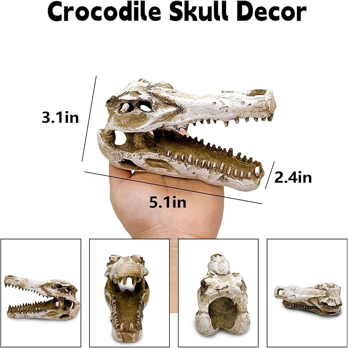 Tfwadmx Human and Crocodile Skull Decor, Snake Hide, Tarantula Enclosure Accessories, Resin Skull Reptile Terrarium Tank Decor for Geckos, Lizards, Spiders