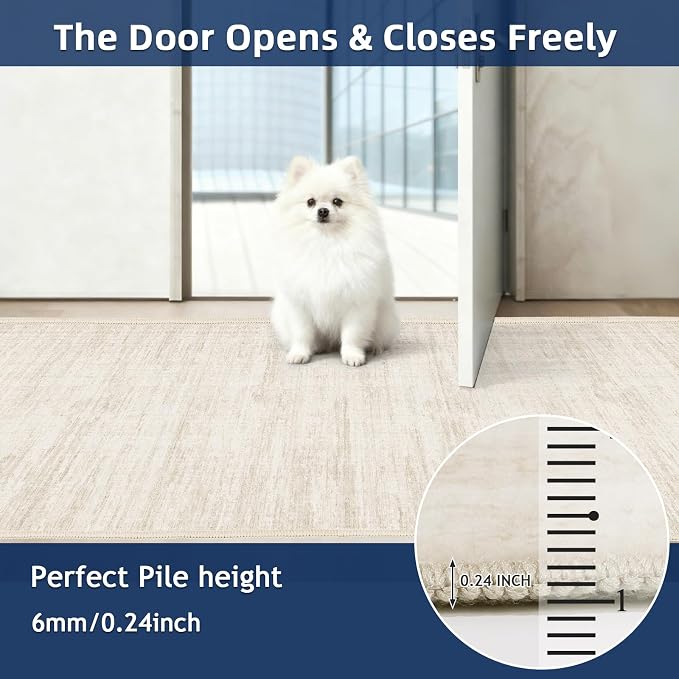 Washbale Rugs 3x5 Ultra Soft Area Rug, Non Slip Indoor Entryway Rugs, Stain