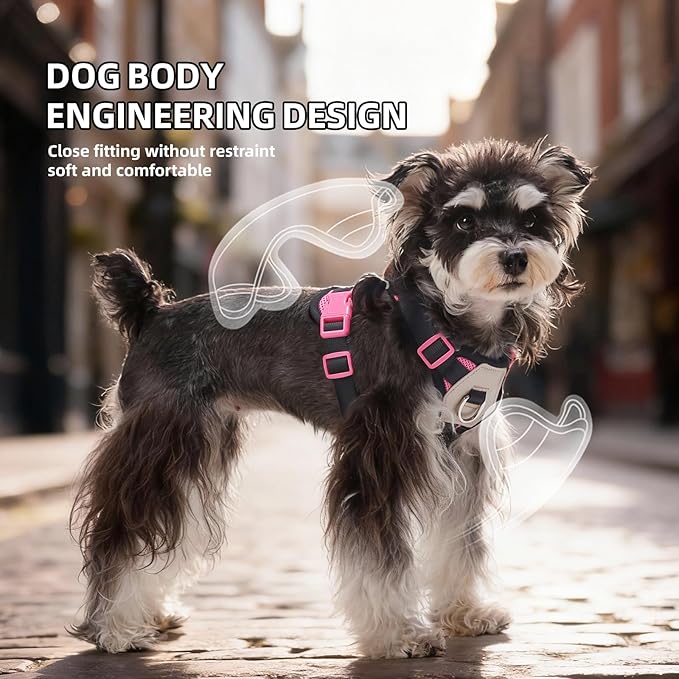 Small Dog Harness and Leash Set, Breathable Mesh Puppy Harness, Adjustable Dog Harness for Small Medium Large Dogs, No-Pull Pet Harness for Daily Walking (Hotpink, Medium)