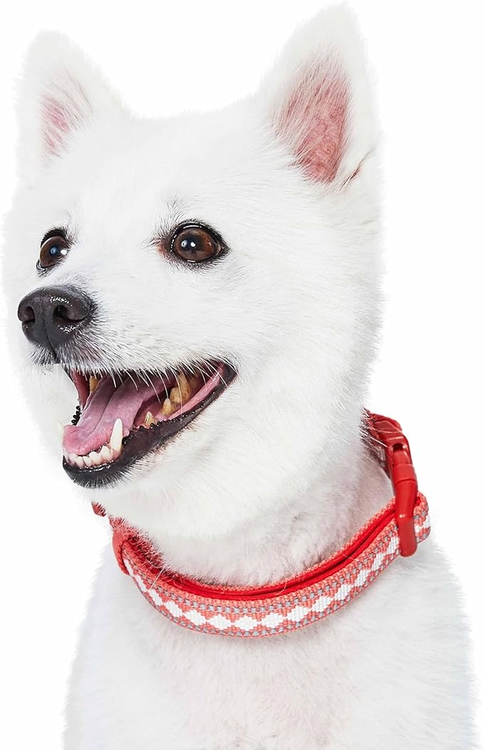 Blueberry Pet 3 Colors 3M Reflective Jacquard Neoprene Padded Adjustable Dog Collar, Coral, Medium, Neck 14.5"-20"