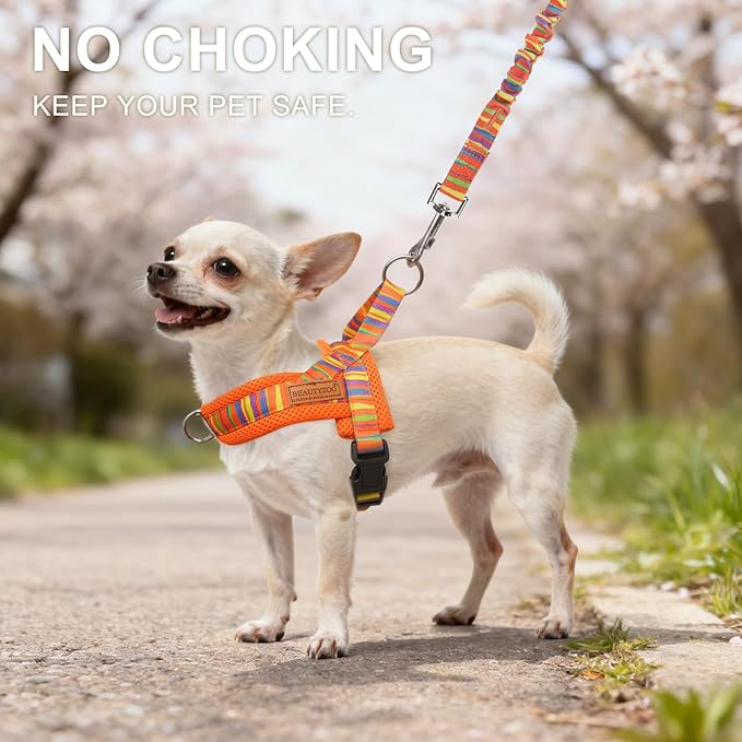 BEAUTYZOO Dog Harness for Small Dogs,No Pull Dog Harness and Leash Set,Soft Escape Proof Puppy Vest Harness with Handle,Reflective Lightweight Step in Harness for Girl Boy Dogs,Orange_Print S