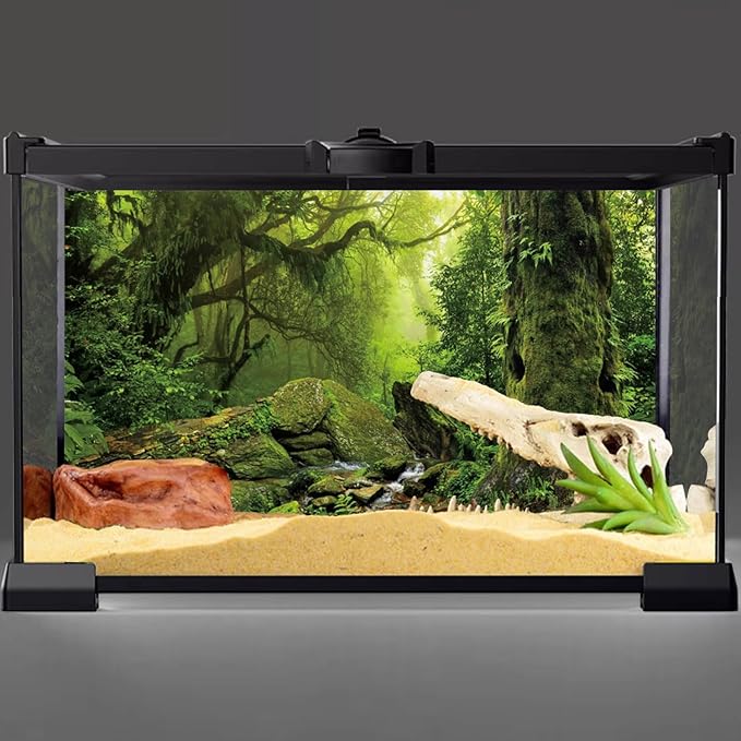 AWERT Tropical Forest Terrarium Background Stream Green Huge Tree Reptile Habitat Background Foggy Rainforest Aquarium Background 24x12 inches Polyester Background