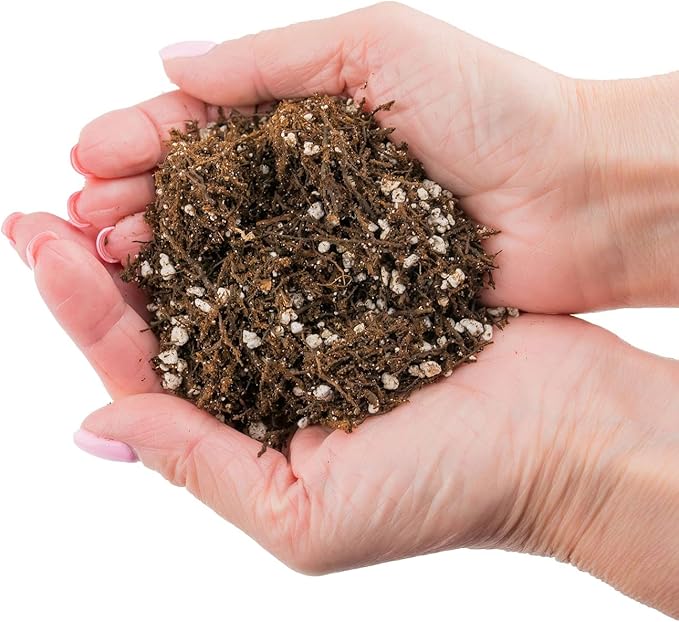 Gardenera Premium Organic Potting Soil, Succulent & Cactus Soil Mix, Fast Draining Pre-Mixed Blend - Horticultural Perlite (25%) + Peat Moss (75%) - Made in USA - 4 Quart
