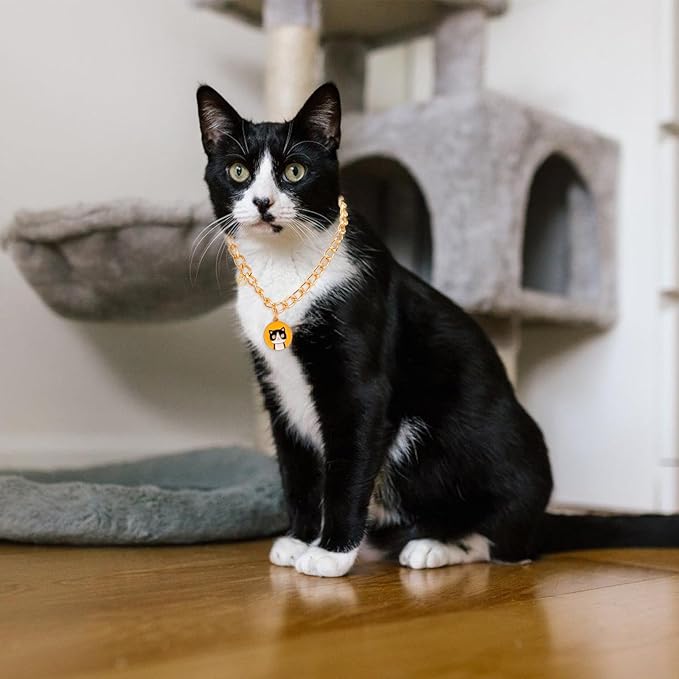 HOWWFALY Dog Collar and Cat Chain Necklace Stainless Steel Adjustable 18K Gold Heart-Shaped Necklace for Small Pets Cats Kitten Puppy (Gold, 13.7 inch)