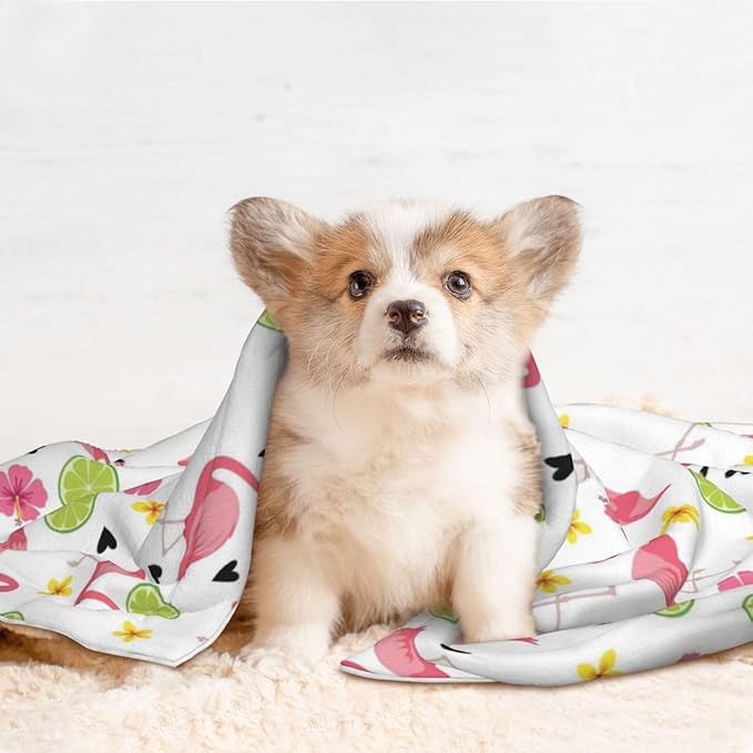 Pet Blanket for Couches and Beds, Cute Pink Flamingo, Reversible Double Sided Plush Design with Soft Bumpy Texture and Smooth Surface, Furniture Protector