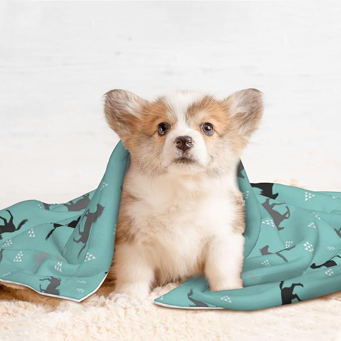 Two Sided Plush Pet Blanket for Warmth Comfort, Wild Horses, Reversible Throw with Cozy Nubby Side for Chilly Nights Napping Spots Around House