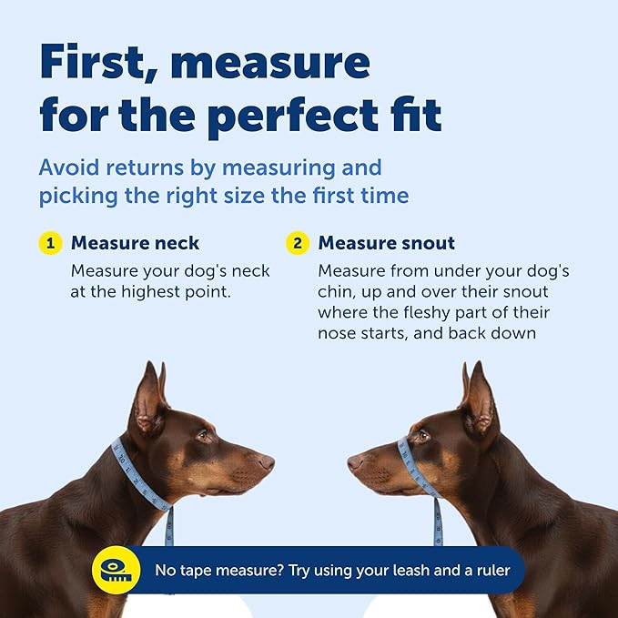 PetSafe Gentle Leader Headcollar No-Pull Dog Collar - Helps Improve Walks - Durable Nylon Construction - Padded Nose Loop - Adjustable Fit - Comfort Walking Halter - Medium, Charcoal